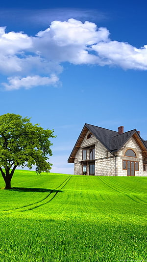 Modern stone house on a vibrant green hillside under a bright blue sky with fluffy clouds HD phone wallpaper