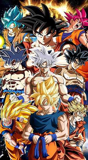 Dragon Ball Super Goku All Transformations and Saiyan Forms Group Artwork HD phone wallpaper