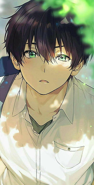 Anime Boy With Black Hair And Green Eyes In White Shirt Under Dappled Sunlight HD phone wallpaper