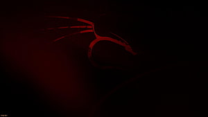 Kali Linux Dark Red Minimalist Desktop Background HD wallpaper