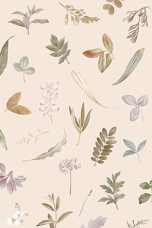 Watercolor Botanical Illustration Pattern with Dried Leaves and Flowers on Beige Background HD phone wallpaper