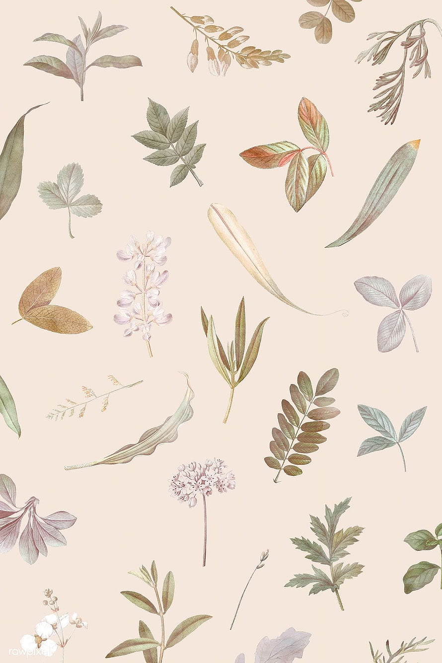 Watercolor Botanical Illustration Pattern with Dried Leaves and Flowers on Beige Background HD phone wallpaper