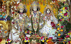 Sri Sri Sita Rama Laxman Hanuman Deity with Floral Garlands and Temple Decorations, Sri Sri Sita Rama Laxman Hanuman, ram sita hanuman HD wallpaper