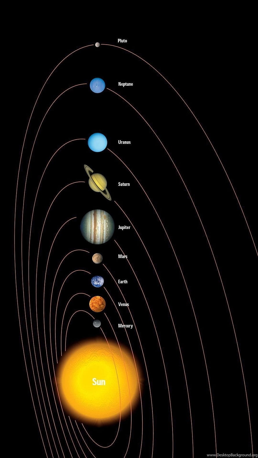 Labeled Solar System Planets and Orbits on Black Background HD phone wallpaper