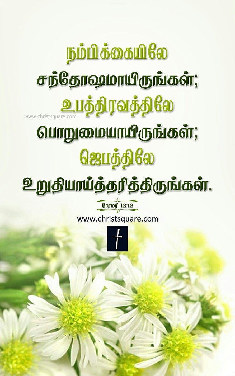 Tamil Christian Bible Verse Wallpaper with White Daisies and Cross HD phone wallpaper